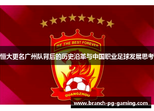 恒大更名广州队背后的历史沿革与中国职业足球发展思考