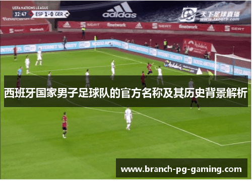 西班牙国家男子足球队的官方名称及其历史背景解析