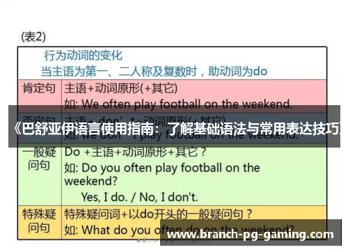 《巴舒亚伊语言使用指南：了解基础语法与常用表达技巧》