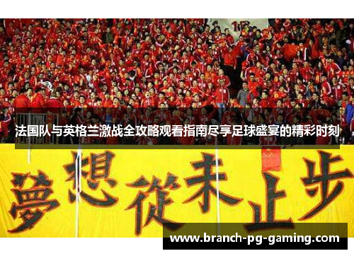法国队与英格兰激战全攻略观看指南尽享足球盛宴的精彩时刻
