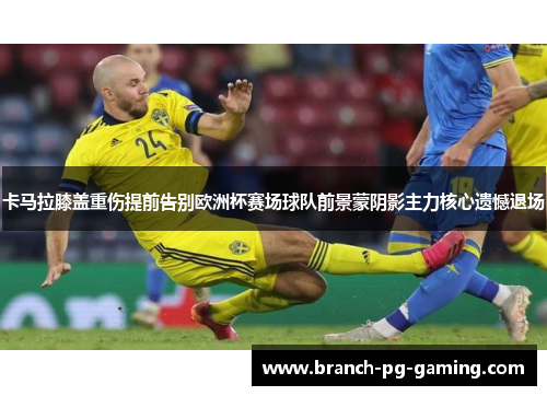 卡马拉膝盖重伤提前告别欧洲杯赛场球队前景蒙阴影主力核心遗憾退场