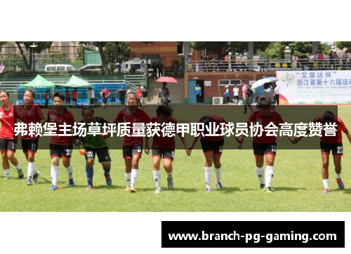 弗赖堡主场草坪质量获德甲职业球员协会高度赞誉