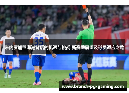 米内罗加盟海港背后的机遇与挑战 新赛季展望及球员适应之路