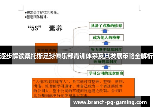 逐步解读桑托斯足球俱乐部青训体系及其发展策略全解析